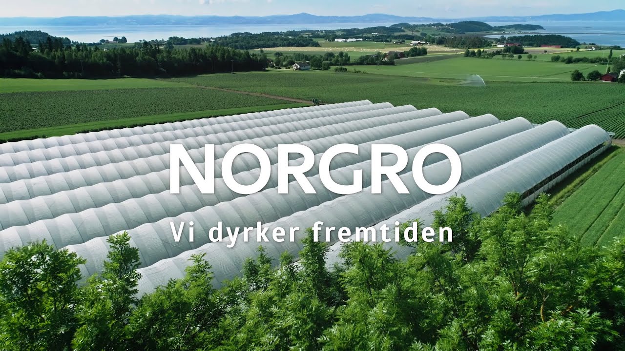 Norgro - Bringeb&aelig;r