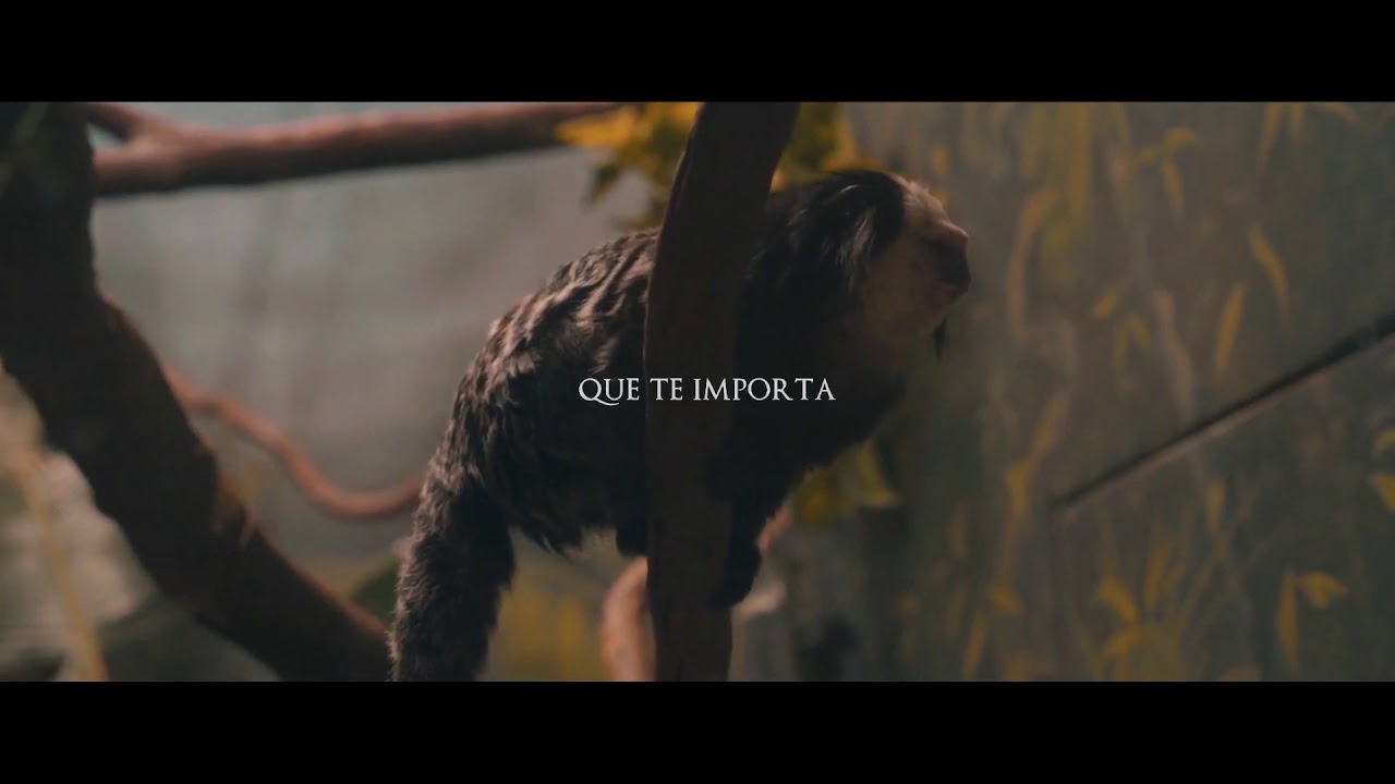BITIA OLALLA- SABER QUE ME AMAS-2020 Versión en estudio