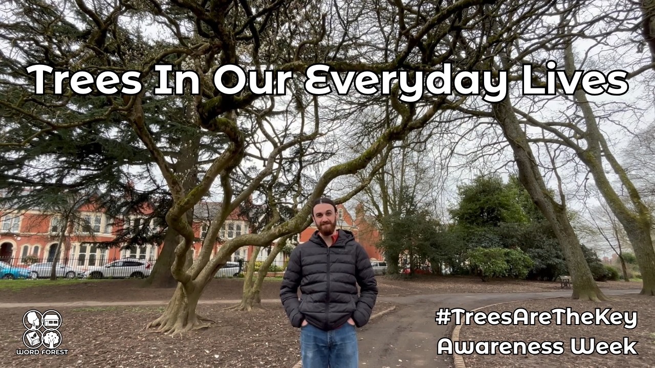 Trees in Our Everyday Lives | #TreesAreTheKey Awareness Week