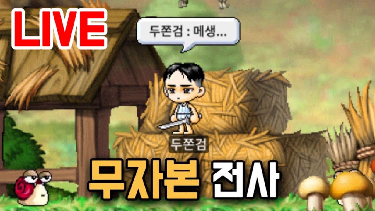 무자본 전사 키우기 (메이플랜드)