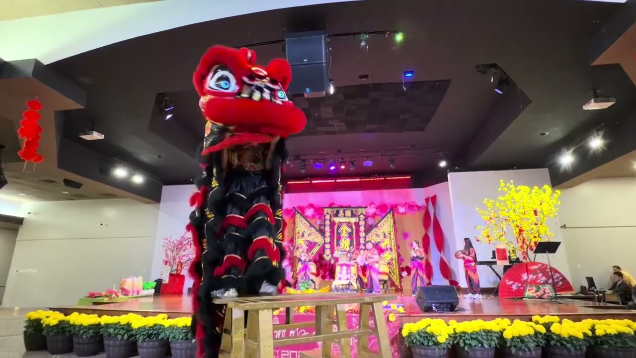 Ashley coi múa lân nhân dịp Tết 2026 🧧