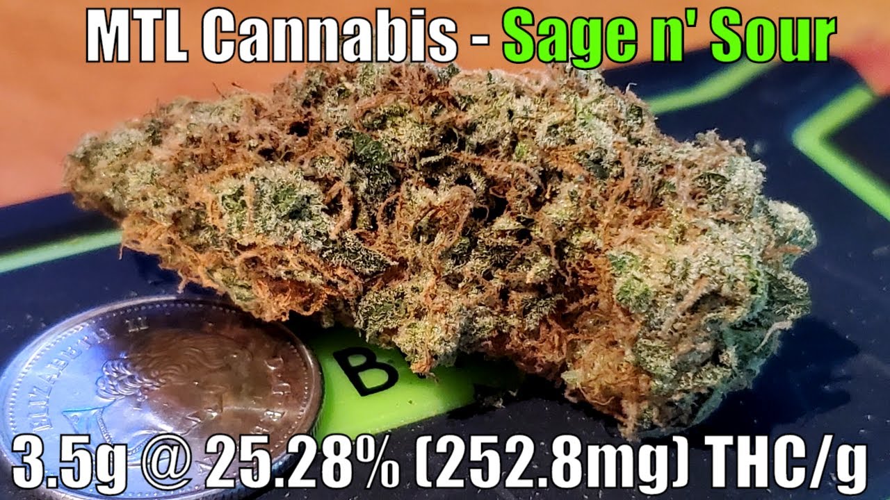 MTL Cannabis - Sage 'n Sour - Unboxing Review - 3.5g @ 25.28% (252.8mg) THC/g (+Extreme Closeups)