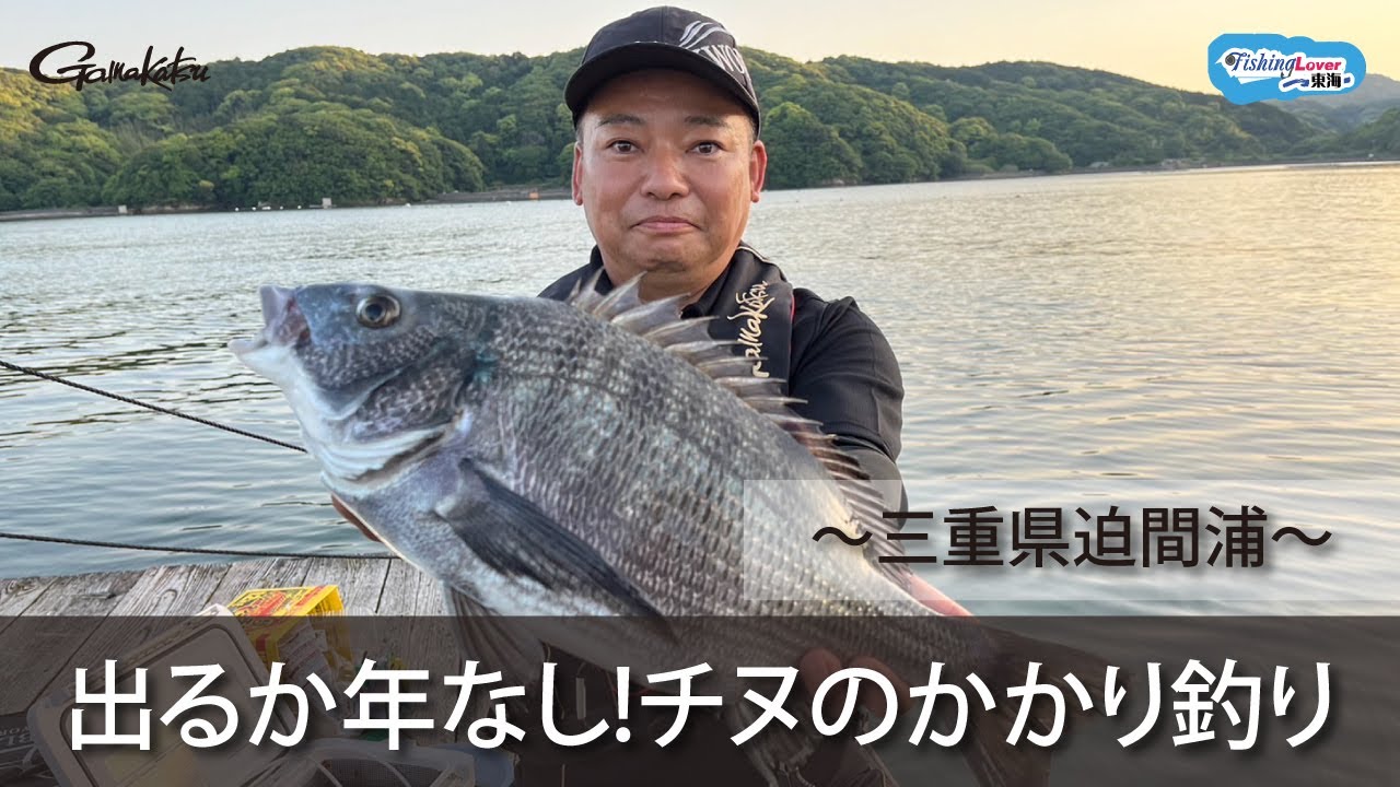 【FishingLover東海】出るか年なし50cm！かかり釣り～のっこみ攻略～【筏チヌ】【ダンゴ釣り】