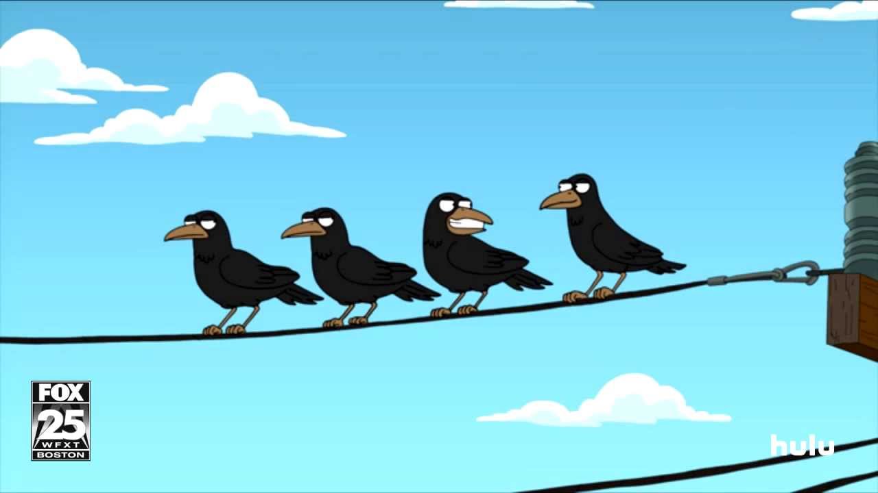 Crows 