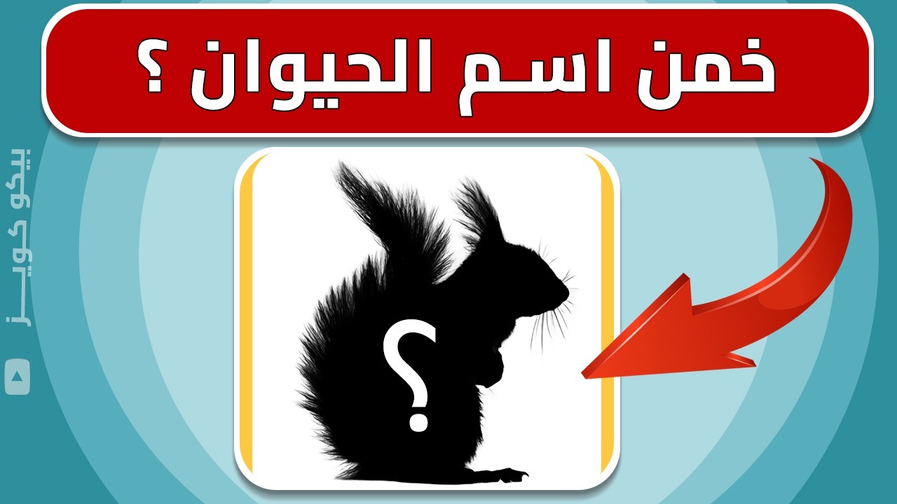 هل تستطيع معرفة جميع الحيوانات❓ | تحدي معرفة الحيوانات من ظلالها🐾
