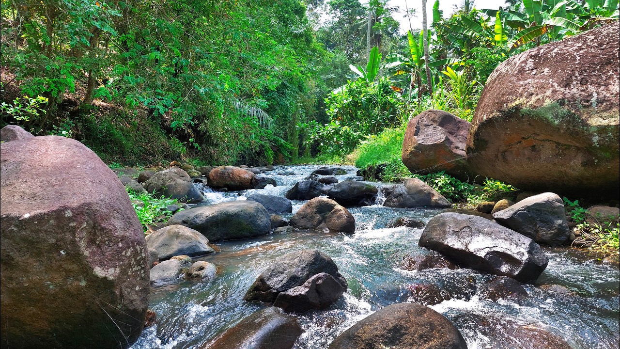 Defeat Stress to Sleep Instantly with Roaring Water Stream Sounds Cascading Between Rocks & Boulders