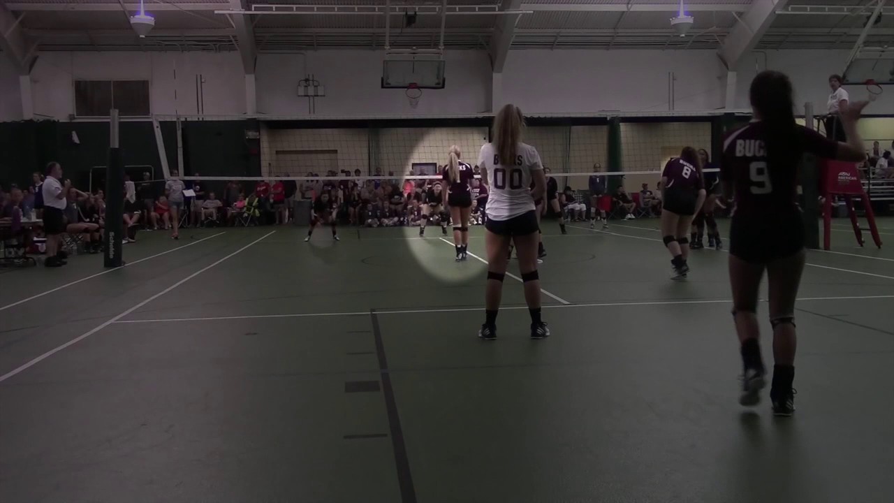 All State-Franki Strefling