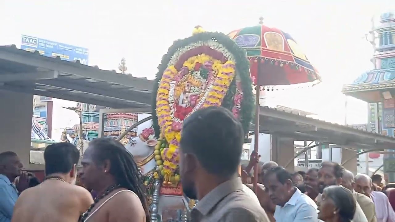 Virundheeshwarar Kovil live
