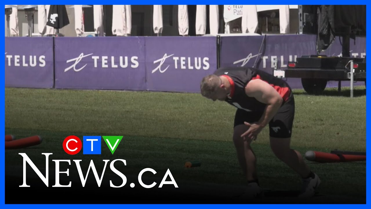 Stamps feel Bighill can use experience to help defence