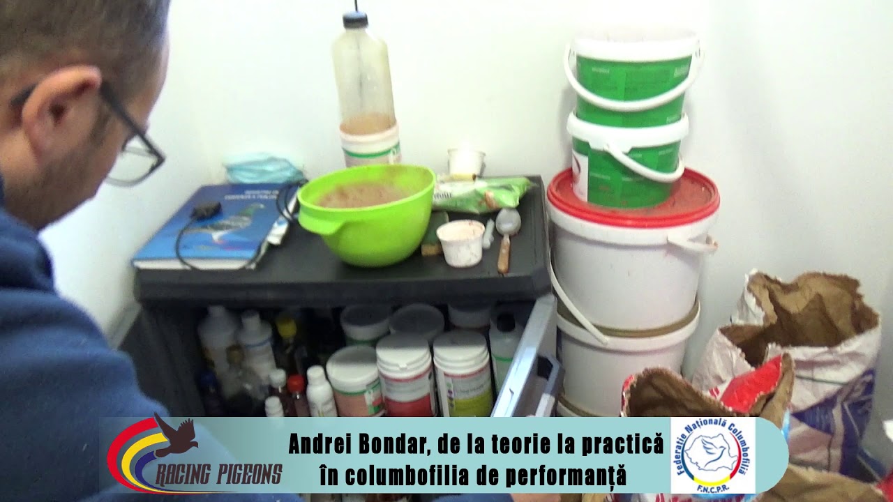 Andrei Bondar, de la teorie la practică în columbofilia de performanță