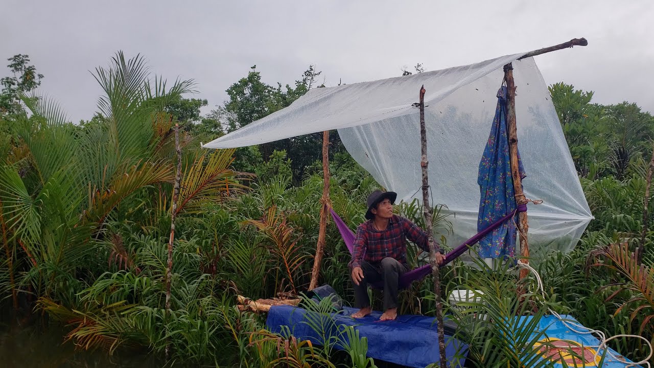 បោះតង់លើចាក THE BEST DAY SOLO CAMPING ON BEAUTIFULL ISLAND DURING RAINING GUALITY 4K VIDEO