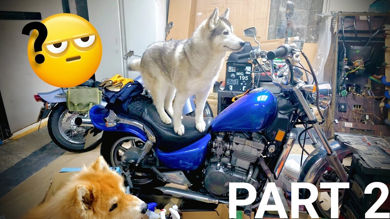 Fixing my 1991 Kawasaki en500, rough running motorcycle... We figure it out part 2