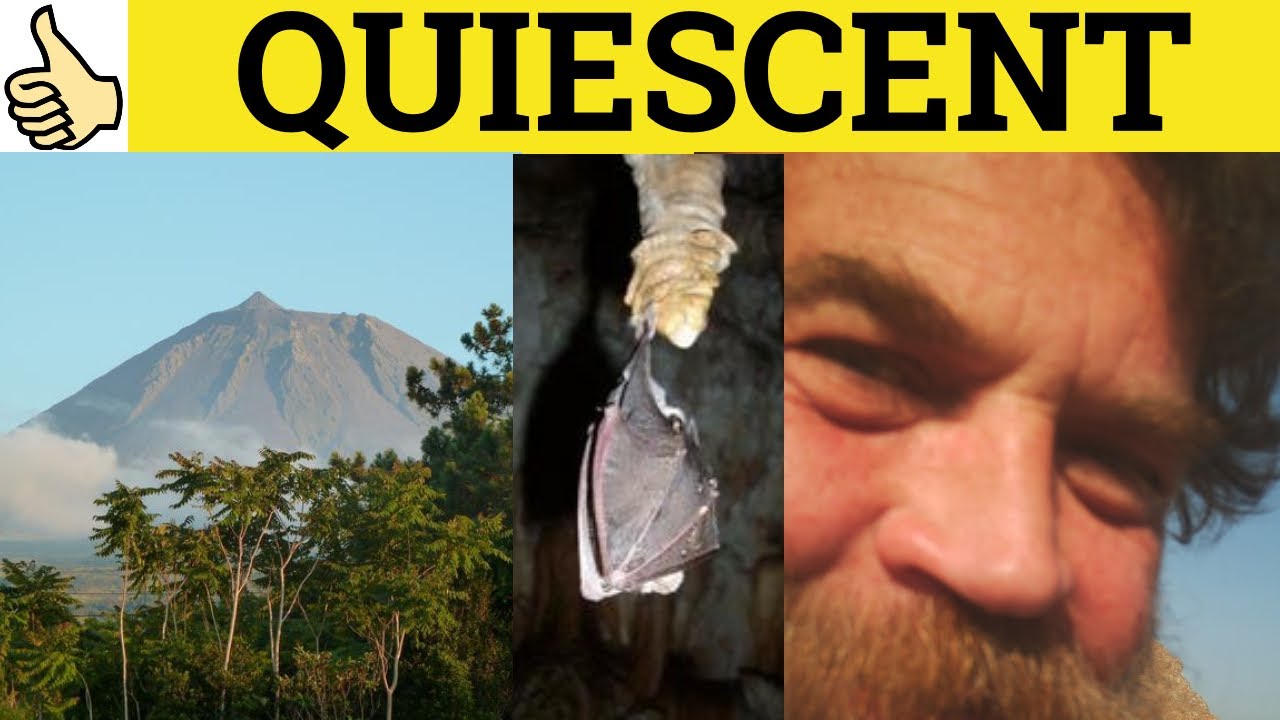 🔵 Quiescent Meaning - Quiescence Examples - Quiescent Defined - Quiescence Means - Formal English