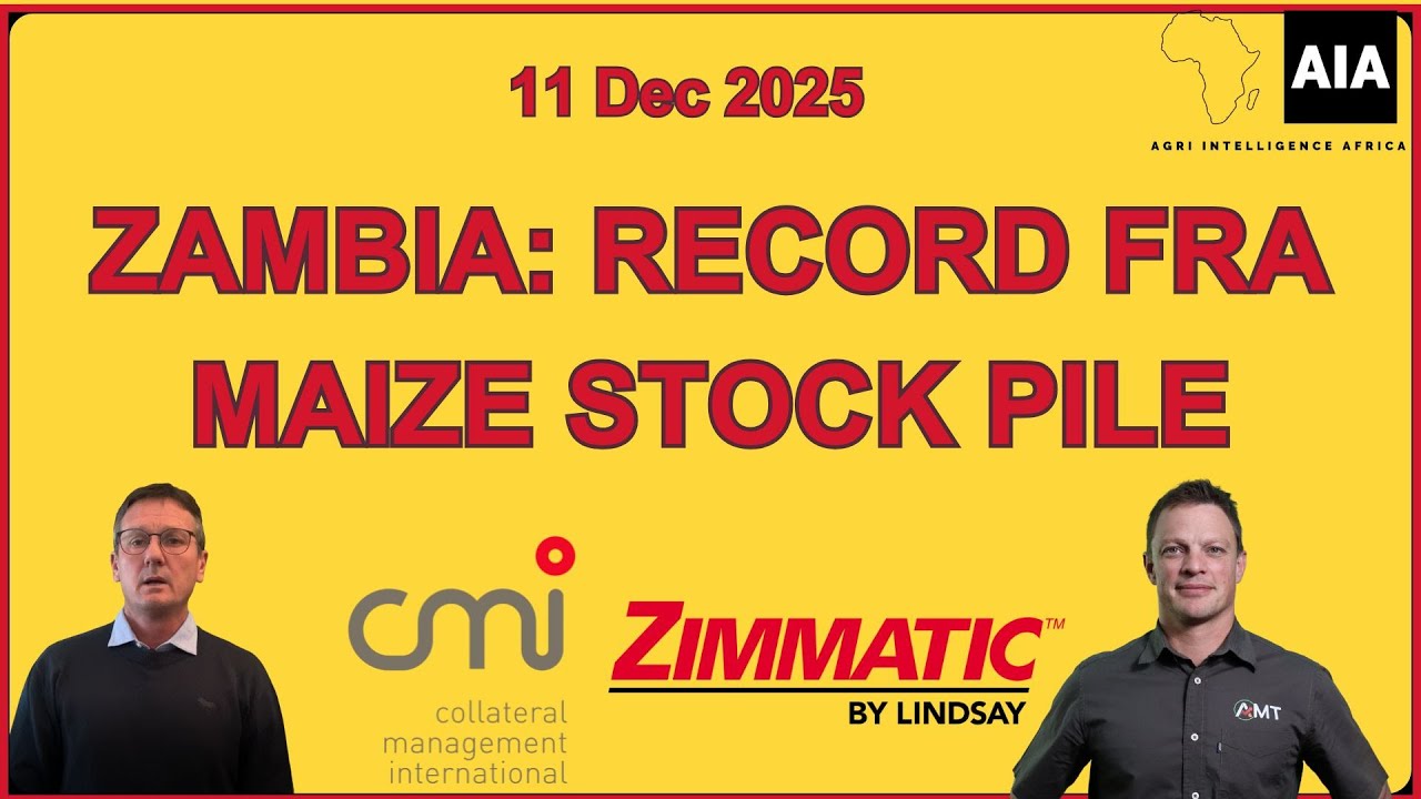 Zambia: FRA Record Maize Stockpile | 11 Dec 2025 | African Grain Report