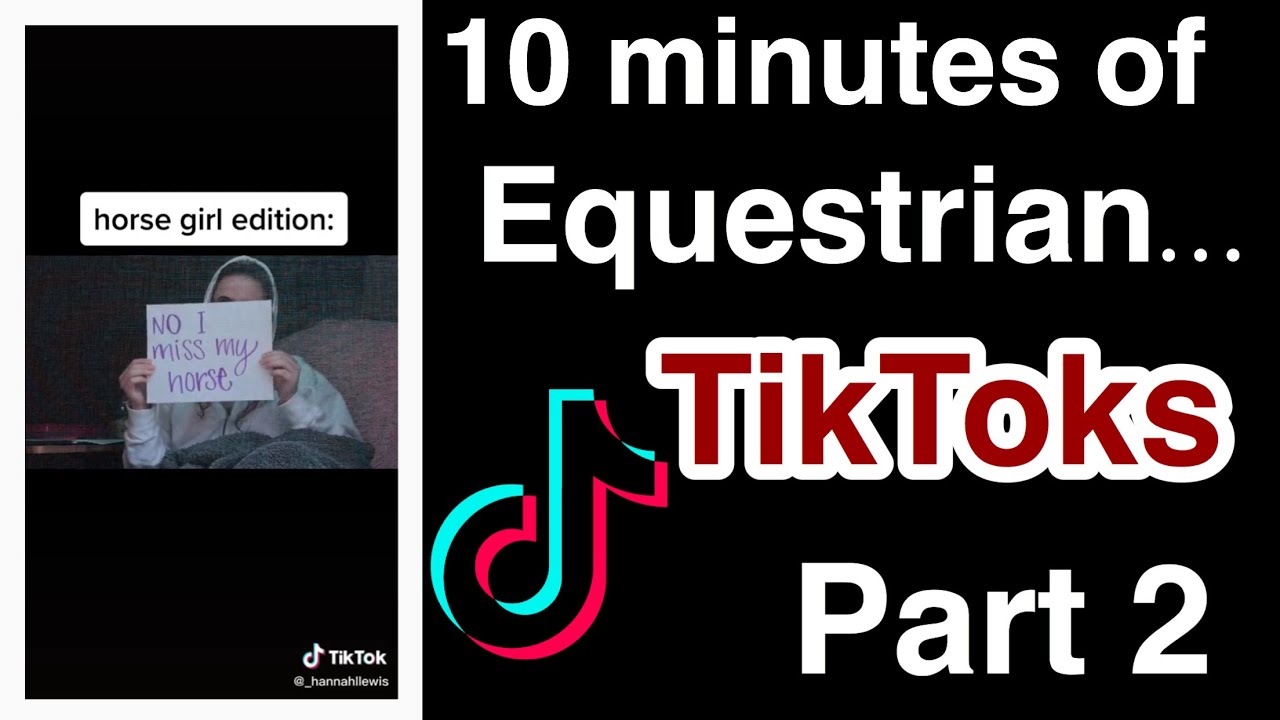 TikToks for Equestrians PART 2