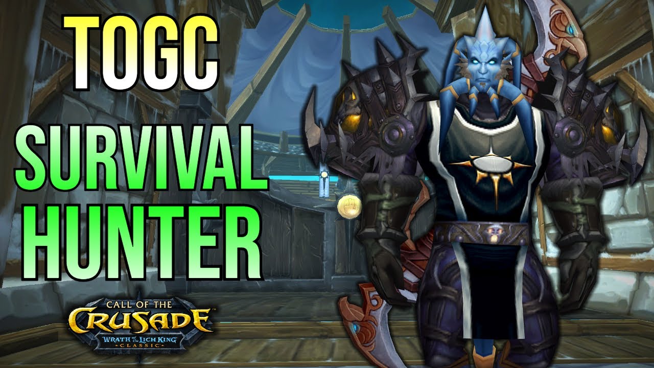 [7/2/2023] ToGC 25 Survival Hunter WotLK