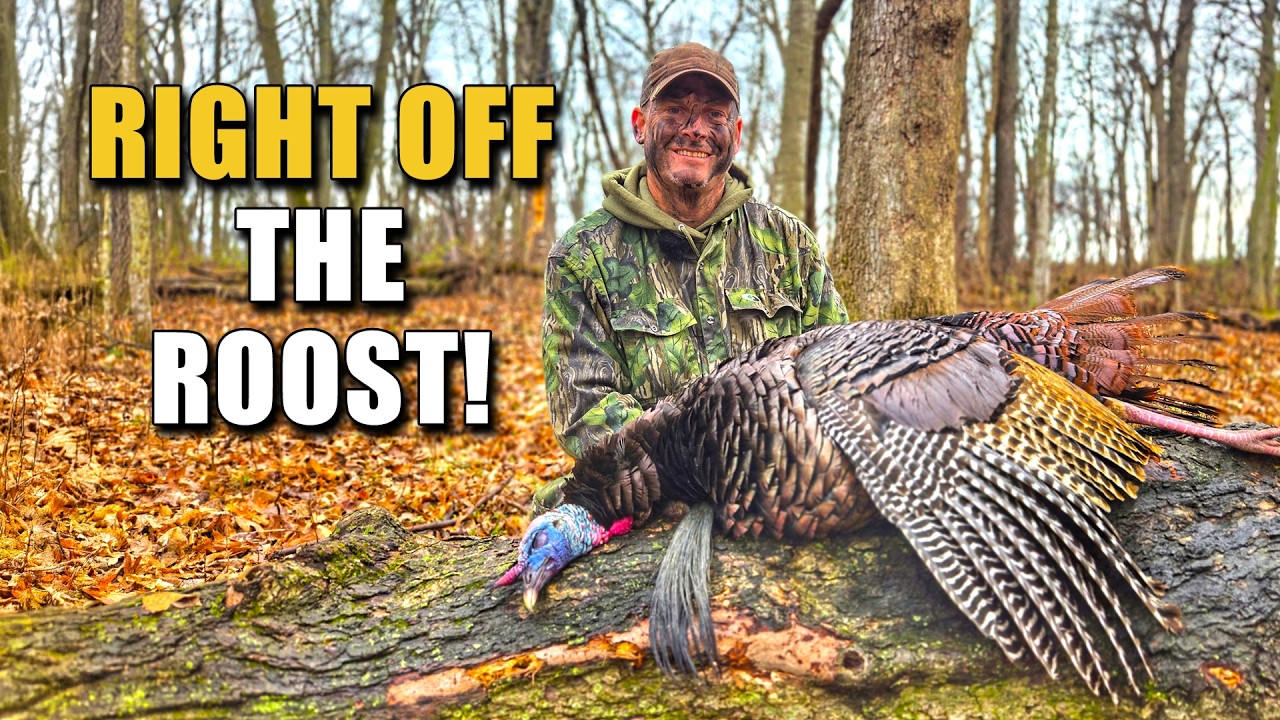 PINPOINTING A ROOSTED GOBBLER