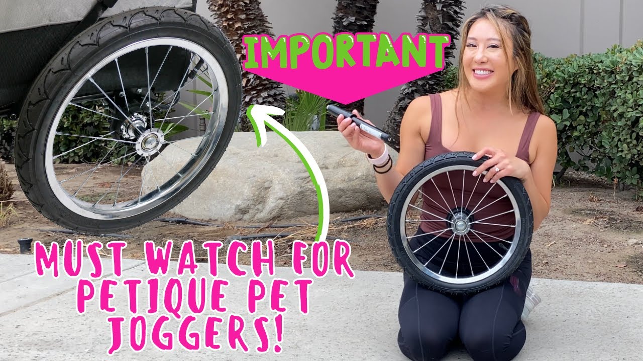 Watch This If You Have A Petique Pet Jogger! How To Safely and Properly Inflate Our Pet Jogger Tires