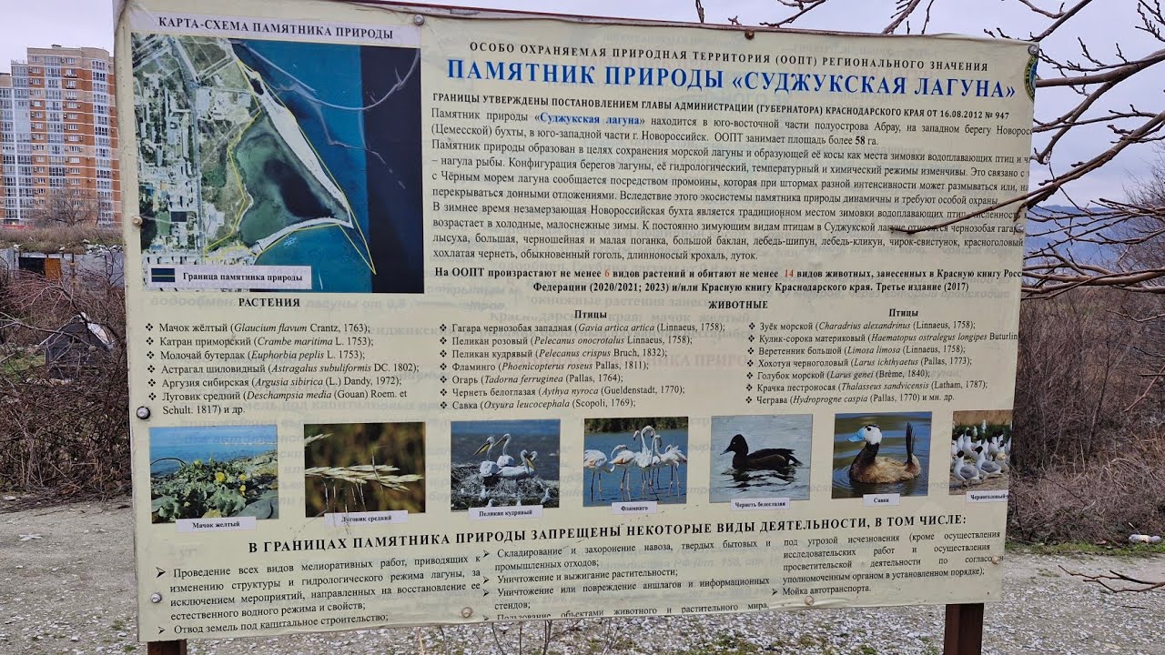 пляж Алексино, мыс Суджук. Новороссийск февраль 2026