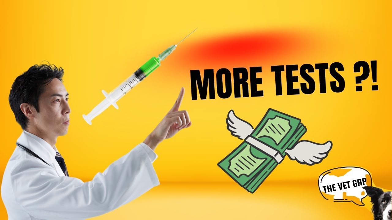 Say NO! / Why And When To Say No To More Tests / Learn How