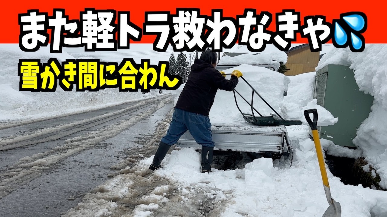 重たいぞ！2026-02-03（火）最強寒波落ち着いたスキに軽トラ除雪　武七、妻七の除雪・雪かき日記　snow removal