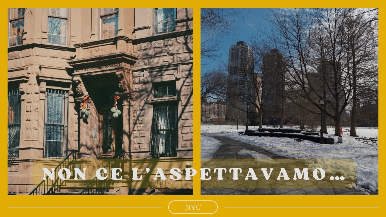 Ci siamo trasferiti ad Harlem… è davvero come lo immaginano? 🗽
