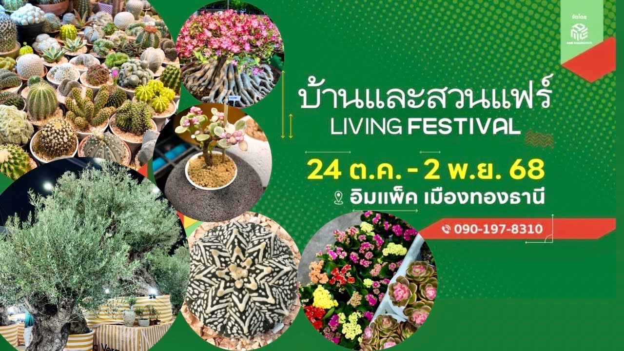 Tour บ้านและสวน 🏡🌿🌵Baanlaesuan Living Festival | 24 Oct - 2 Nov 2025 @Impact เมืองทองธานี