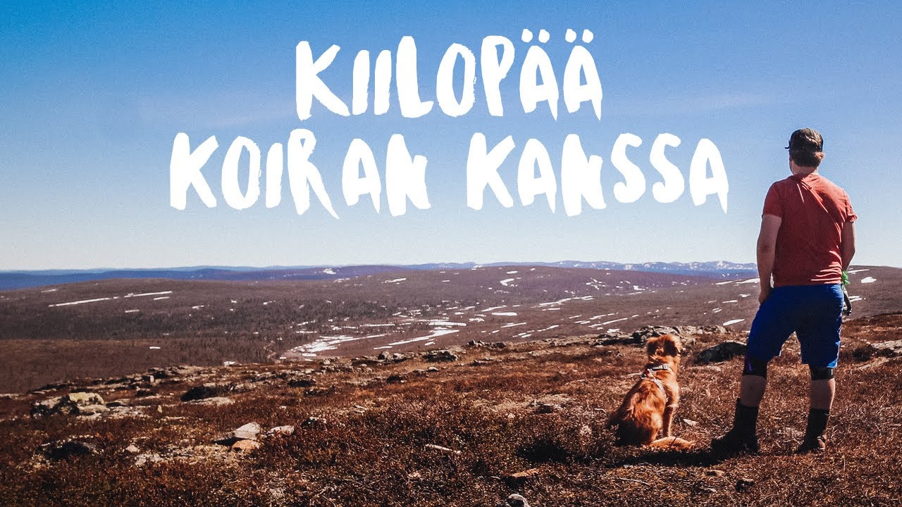 Kiilopää vaellus - Lapin lumoa