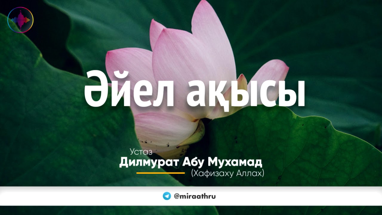 Әйел ақысы | Дилмурат Абу Мухаммад