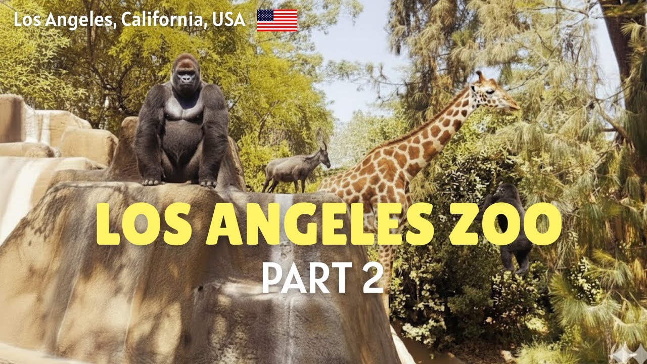 Los Angeles Zoo - Part 2 | Raw Cinematic video | Fujifilm | Travelling Monk | zoo in Los Angeles