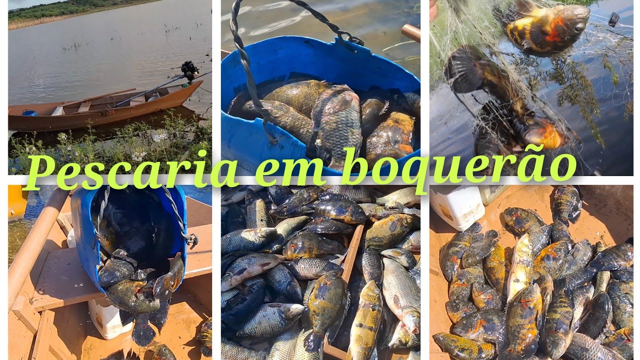 Hoje deu muito peixe, mas deu muito trabalho. Veja o que aconteceu com ais, redes de  pesca.🐠🐠🐠🐟🐟🐟🐟🐟