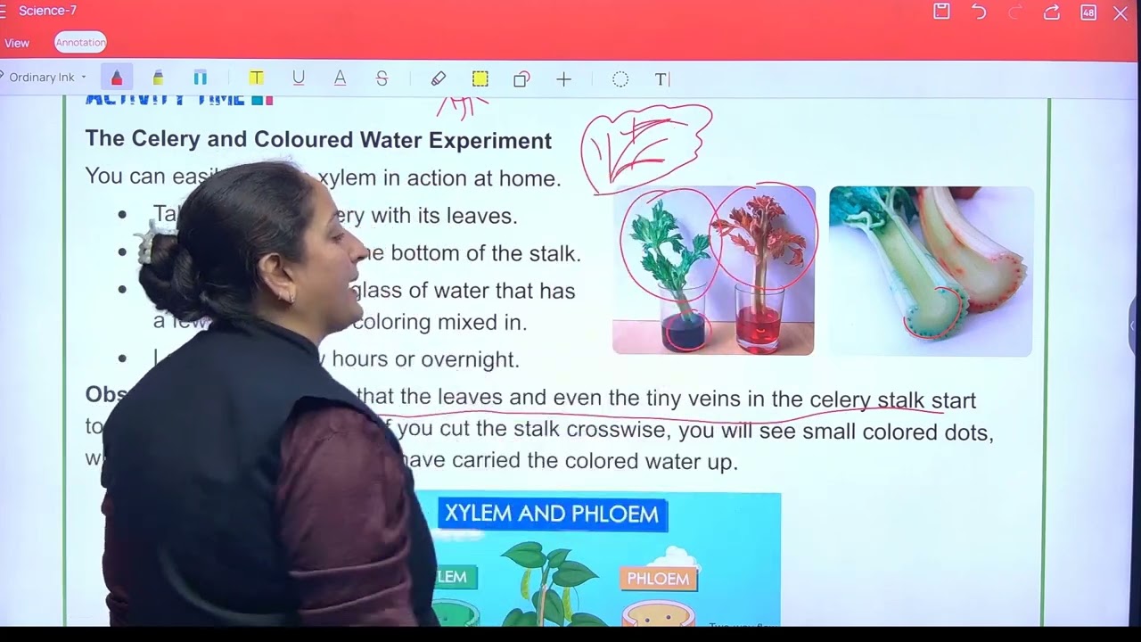 Science 7 ch 10