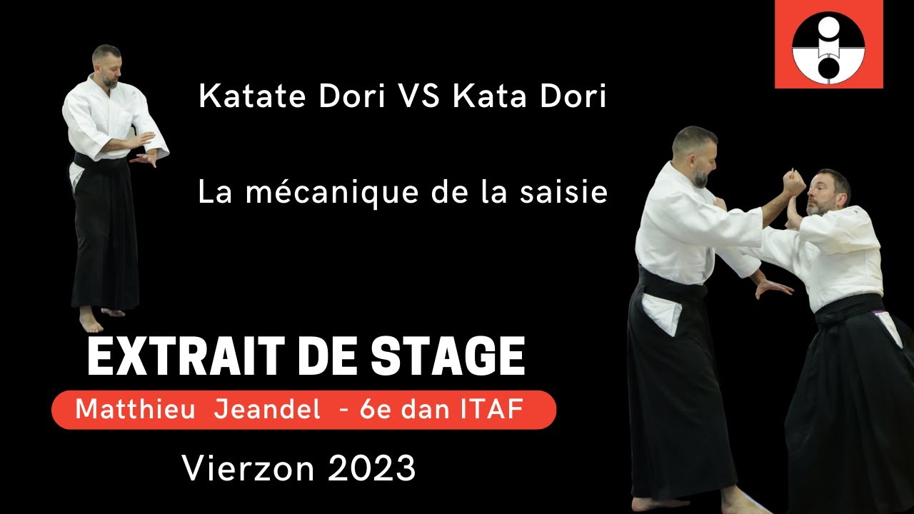 Katate Dori VS Kata Dori - Mécanique de la SAISIE - Matthieu Jeandel - 6e dan ITAF