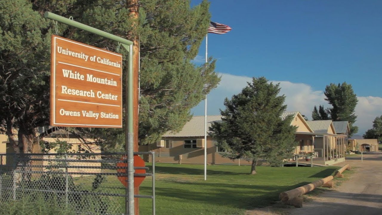 White Mountain Research Center - Elevating the Sciences