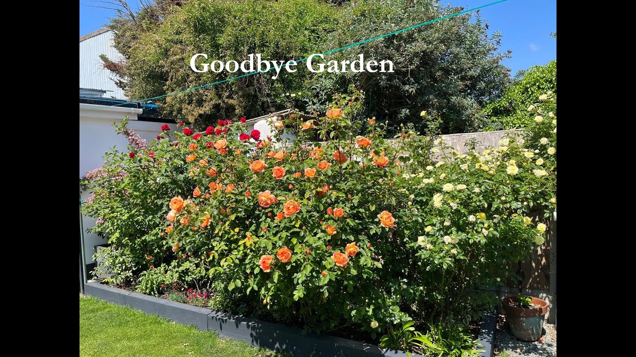 Goodbye Garden