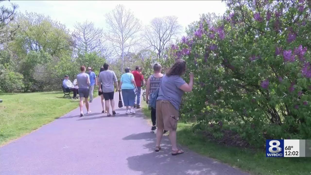 Officials mark start of Lilac Festival in Rochester