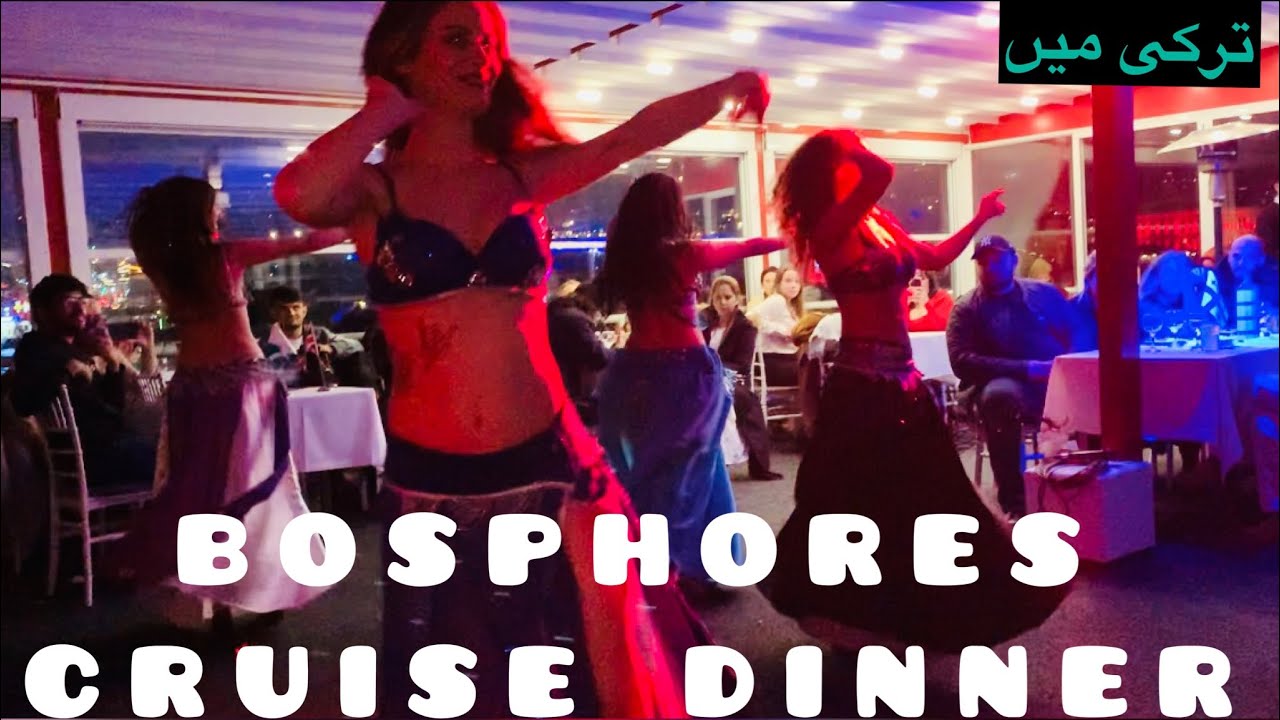 Bosphores cruise dinner in turkey Istanbul 🇹🇷