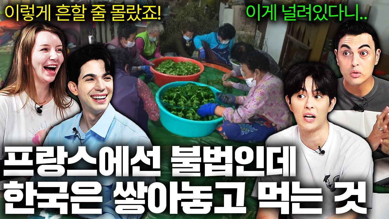 한국 길바닥에 널려있는 '이것'을 보고 눈을 의심한 프랑스인들ㄷㄷㅣ국경없는 수다 EP.28
