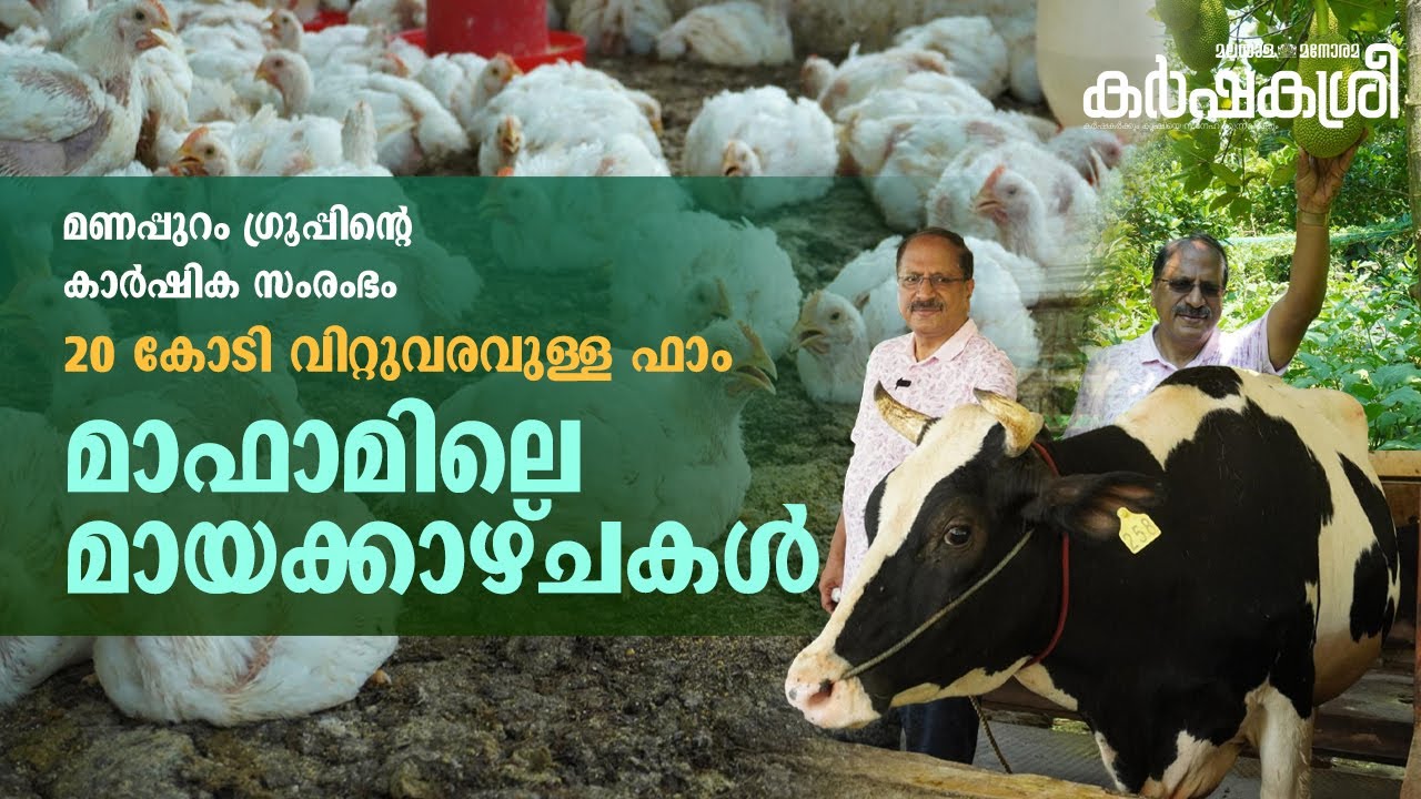 20 കോടി വിറ്റുവരവുള്ള ഫാം; ഇവിടെ ഇല്ലാത്തത് ഒന്നുമില്ല; മണപ്പുറം അഗ്രോ ഫാമിലെ വിശേഷങ്ങൾ