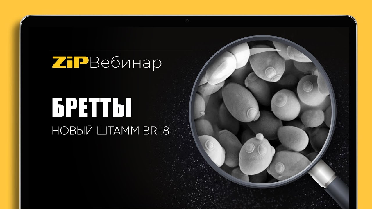 БРЕТТЫ, запись вебинара о новом продукте Fermentis, SafBrew BR-8