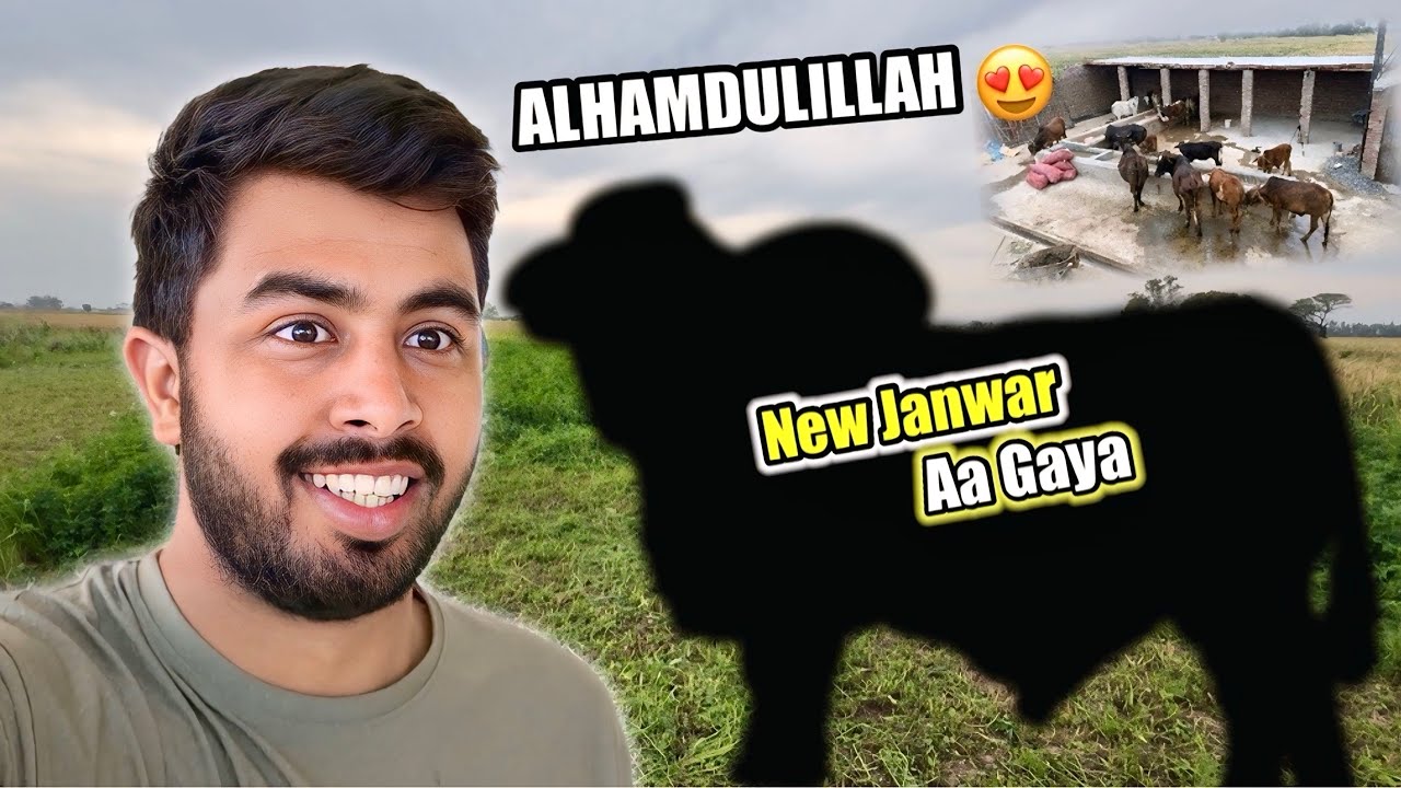 New Big Janwar Aa Gaya 😍 New Soda Ho Gaya 🐮 Wacha Farming 🐐Goat Farming 