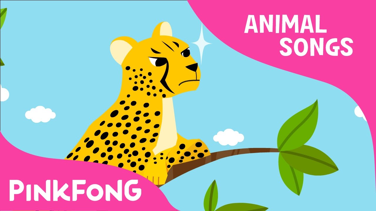 Cheetah Bang Bang | Cheetah | Animal Songs | Pinkfong Songs for Children