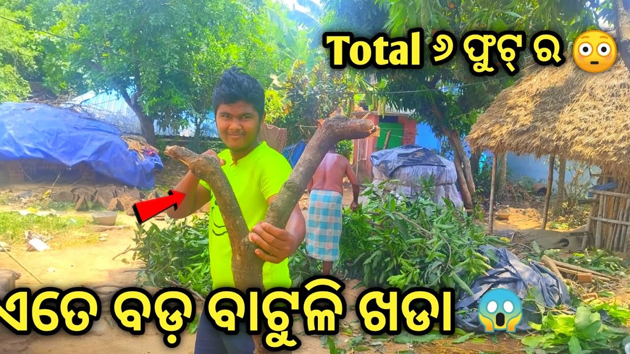 Ate ବଡ଼ Batuli khada 😱 kouthu ଆସିଲା || Total 6ft ra 😳 || odia | odia blogger