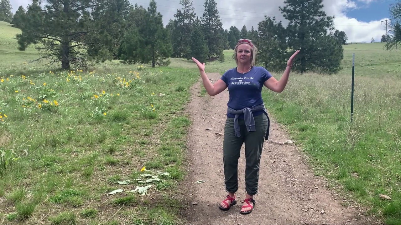 Noxious Weeds and Trail Etiquette