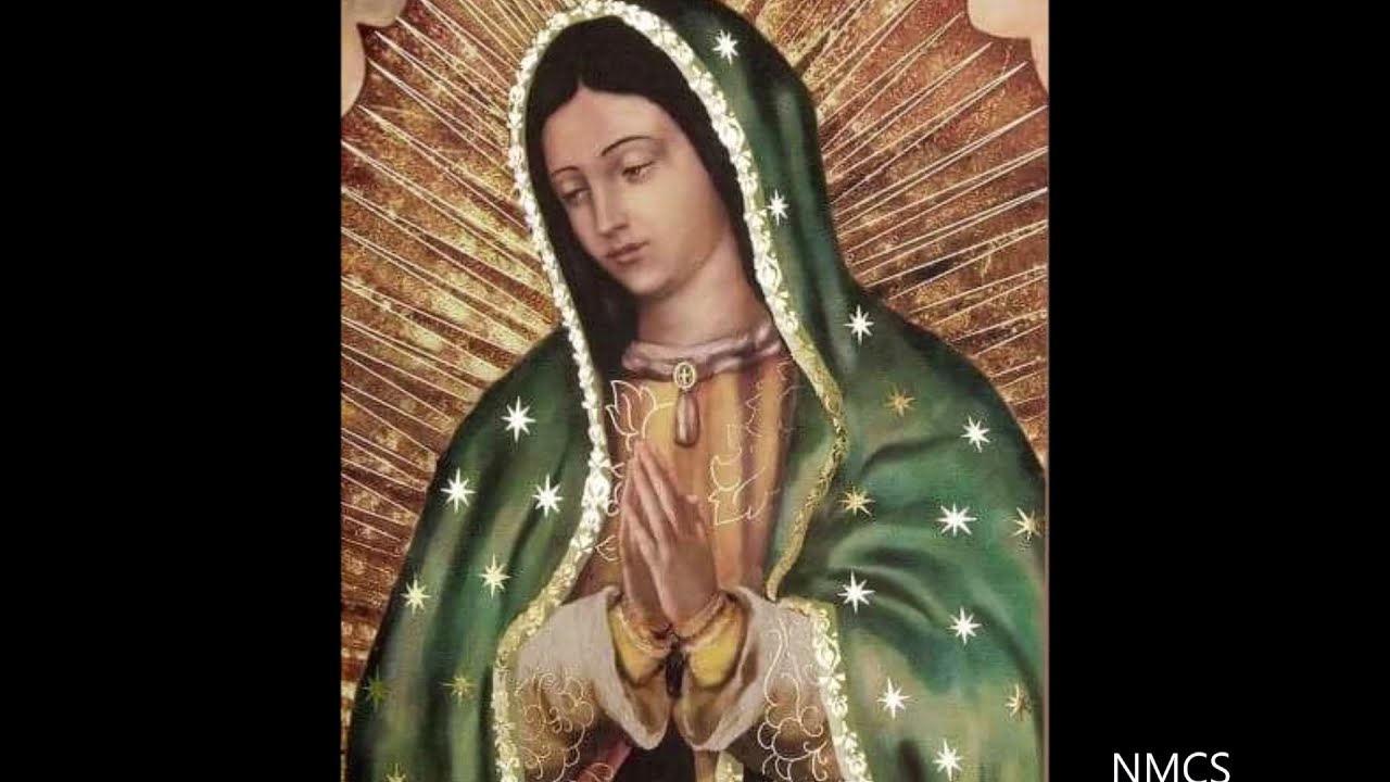 ♥ VIRGEN DE GUADALUPE HAZ EL MILAGRO QUE TE PIDO ♥