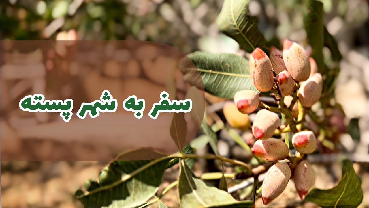 سفر به شهر پسته / سفر خانوادگی ما به شهر اجدادیمون دامغان و روستای زرگرآباد