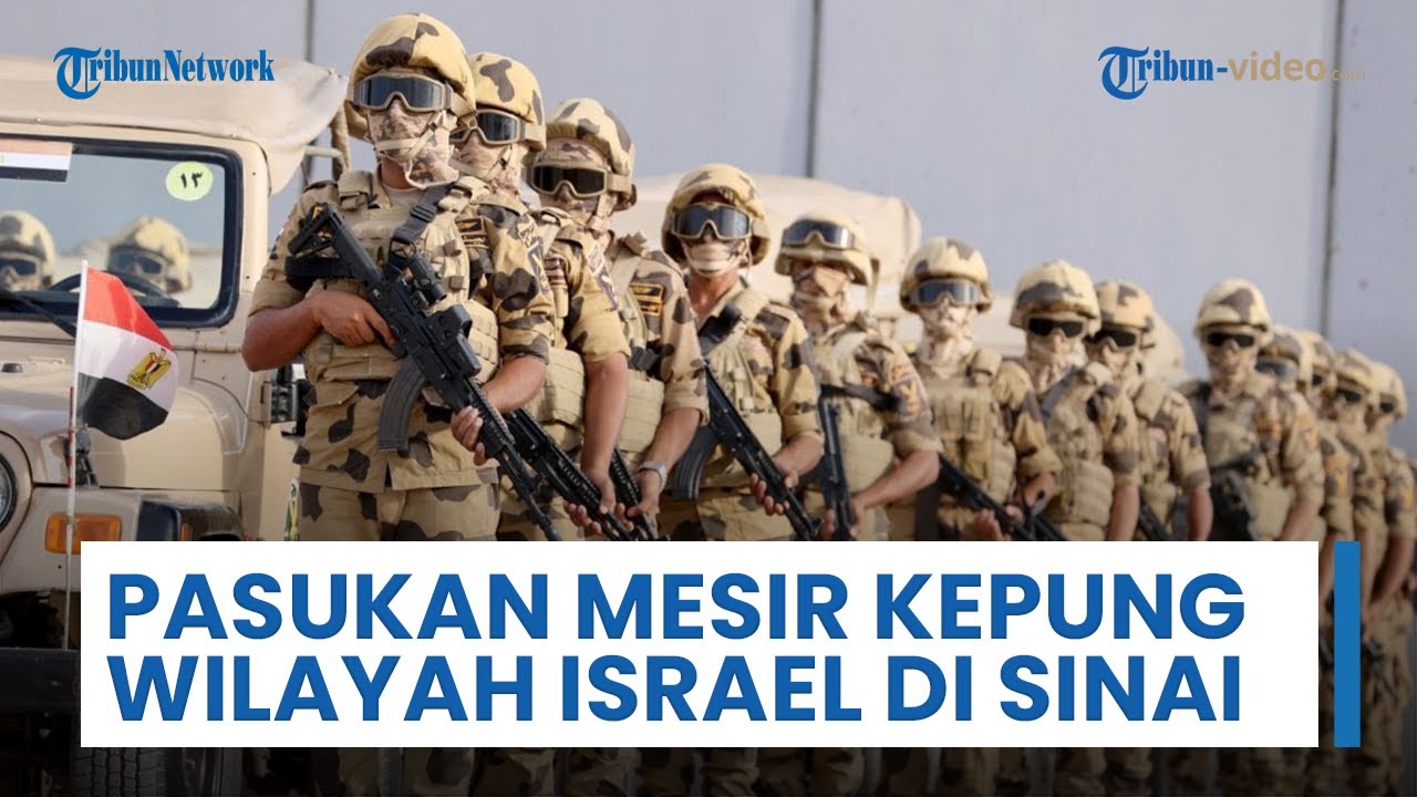 Israel Semakin Terancam seusai Pasukan Mesir Menumpuk Pasukan di Semenanjung Sinai Perluas Pelabuhan