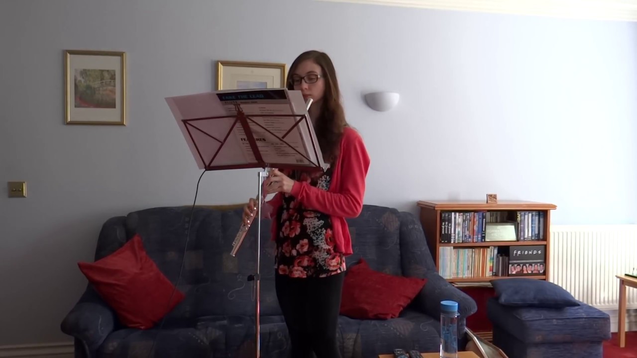'Perfect' by Ed Sheeran on flute