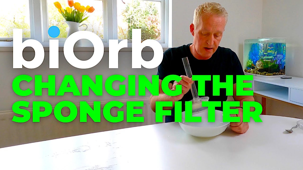 biOrb Aquarium |  How to change the biOrb sponge filter
