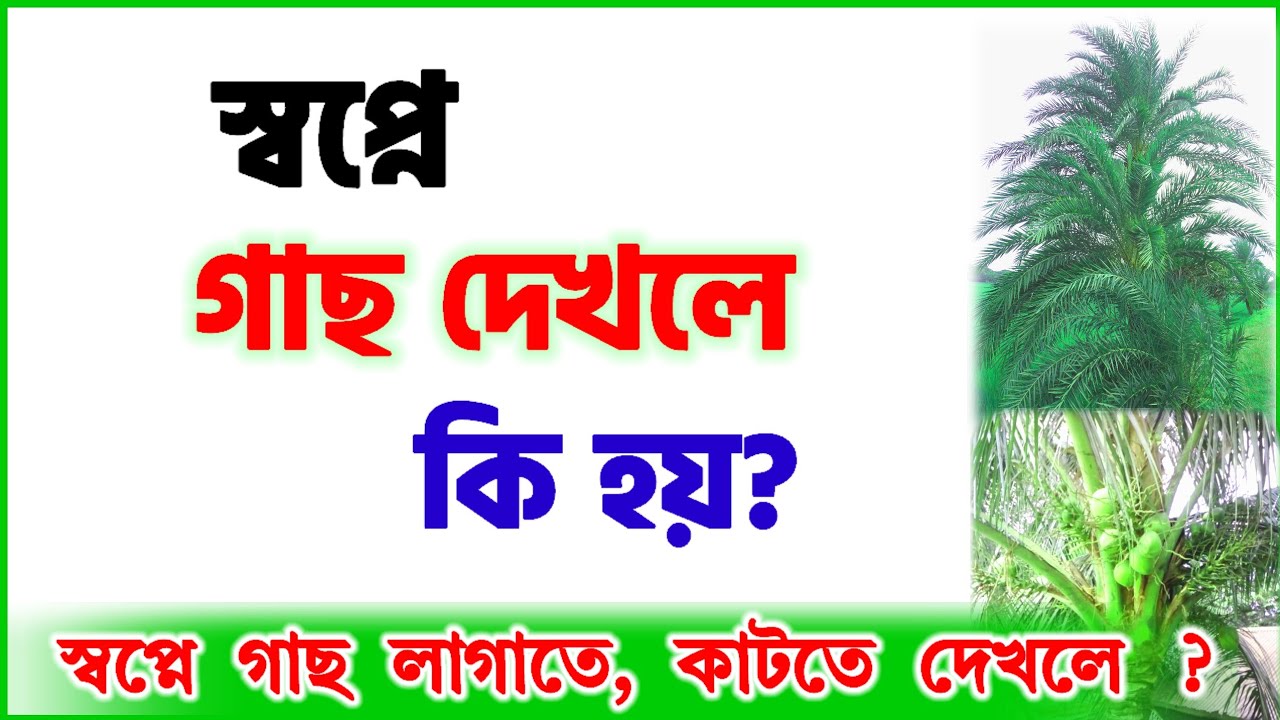 স্বপ্নে গাছ দেখলে, গাছ লাগাতে বা কাটতে দেখলে কি হয় Sopne gach dekhle ki hoy | see a tree in a dream